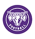 Lehi High School Football